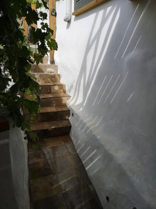 Souterrain Fuer Max 2 P., Bad, Aussenkueche, Garten Гуимар Экстерьер фото